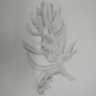 Study for Julius Cactus House (ii) by Endellion Lycett Green 