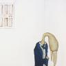 The Suited Bird by Jill Tegan Doherty