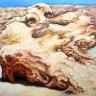Hot Rock by Paul Edmonds