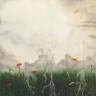 Untitled by Jill Tegan Doherty